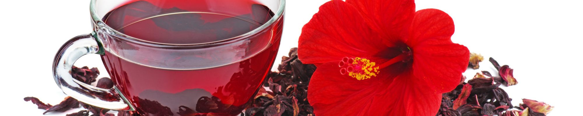 Hibiscus tea, flower and dry blossom isolated on white background
